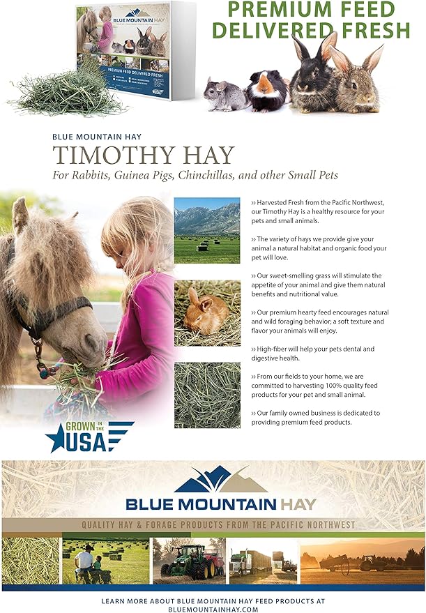 Blue Mountain Hay | Fresh Timothy Hay (5 Pounds) | Great for All Ages | High-Altitude Hay Pet Food for Rabbits, Guinea Pigs, Chinchillas, Hamsters, and Other Small Pets