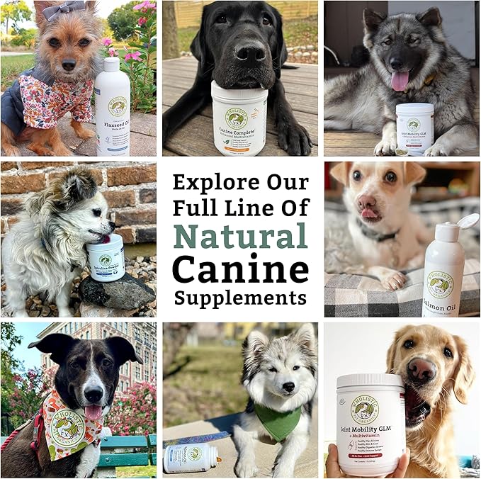 Wholistic Pet Organics Joint Supplement for Dogs - 4 Oz - Daily Dog Hip and Joint Supplement with Glucosamine Chondroitin & MSM to Support Mobility - All Breeds & Ages - Organic Glucosamine for Dogs