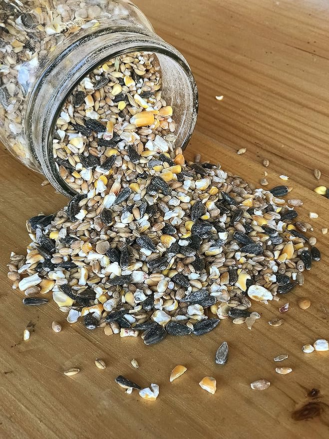 Ernst Grain & Livestock Bird and Wildlife Feed – Perfect for Birds, Ducks, Squirrels, Turkeys, Rabbits, Geese, and Deer – Non-GMO Wild Animal & Bird Feed for Outside Feeders - 10lbs