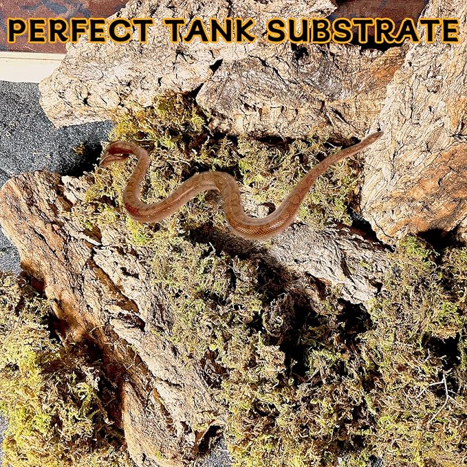 BNOSDM Reptile Terrarium Bark Substrate Bedding Tortoise Natural Cork Bark Reptile Climbing Mat Habitat Decor for Lizard Snake Spiders Hermit Crabs Tarantula Geckos Bearded Dragons (1.4 LB)