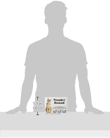 Amazon Brand - Wonder Bound Wet Cat Food, Pate, No Added Grain, Variety Pack (Cod, Sole & Shrimp, Salmon, White Fish & Tuna), 3 ounce (Pack of 24)