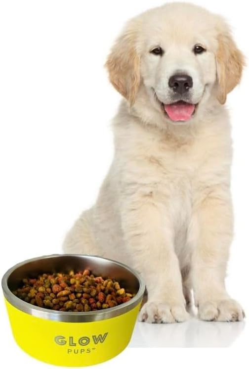 Dog Bowl, Non-Slip Stainless Steel Pet Bowl with Vacuum Insulated Design, Keeps Water Cool, Easy to Clean, Modern Style, 64 oz, Yellow