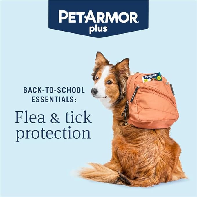 PetArmor Plus Flea and Tick Prevention for Dogs, Dog Flea and Tick Treatment, 6 Doses, Waterproof Topical, Fast Acting, Large Dogs Dogs (45-88 lbs)