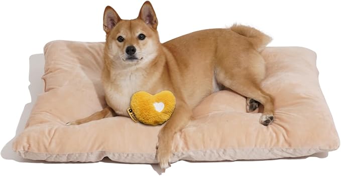 FUNNY FUZZY 2 in 1 Dog Crate Bed Pad for Large Sized Dog, Washable Reversible Pet Soft Mats,Durable Fluffy Kennel Mattress,Indoor Cats, 35" × 23", Beige