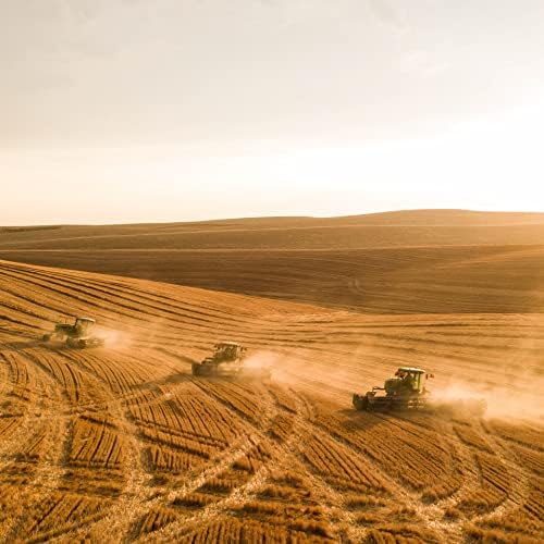 Blue Mountain Hay | Fresh Teff Grass Hay (40 Ounce) | Low NSC, High Fiber, Healthy Weight Management | High-Altitude Hay Pet Food for Rabbits, Guinea Pigs, Chinchillas, Hamsters, and Other Small Pets