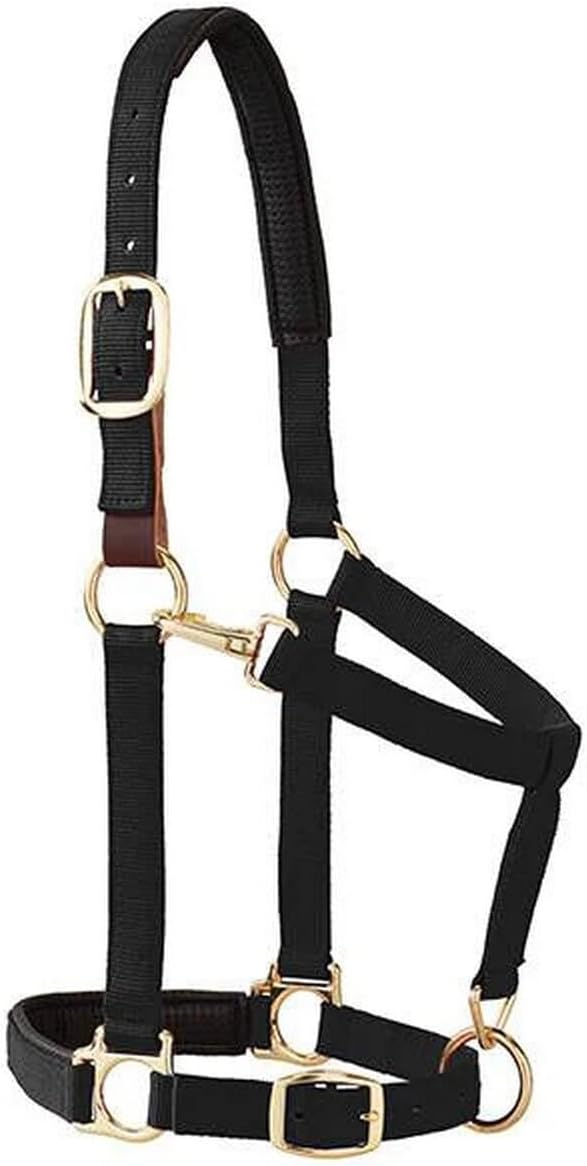 Weaver Equine Breakaway Horse Halter, Comfort Foam Padding, Adjustable Chin & Throat Snap Halters for Horses, Equine Tack,Average Size, Purple