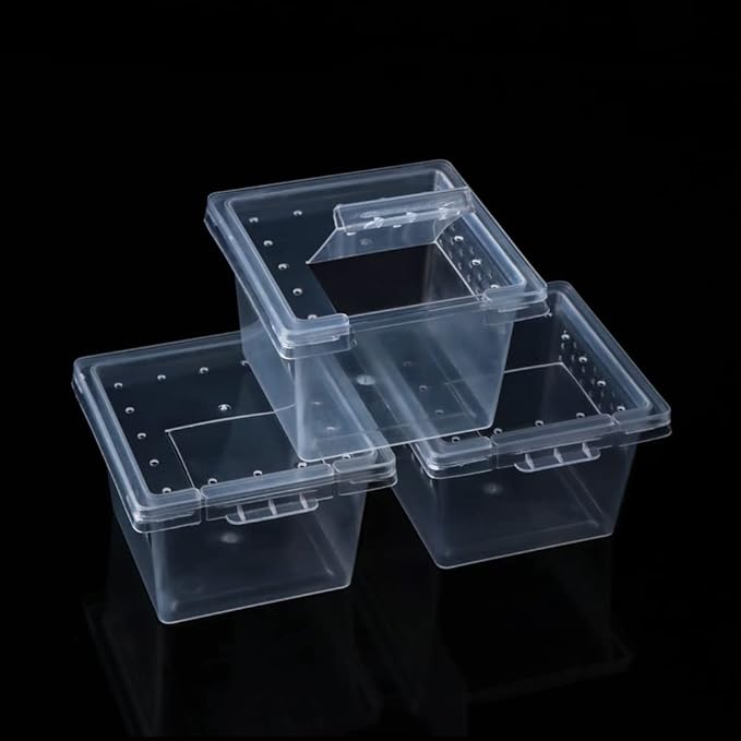 20 Pcs Spider Terrariums Breeding Box Hatching Container Acrylic Feeding Box for Small Reptile Scorpion Centipede Insect (Small Size)