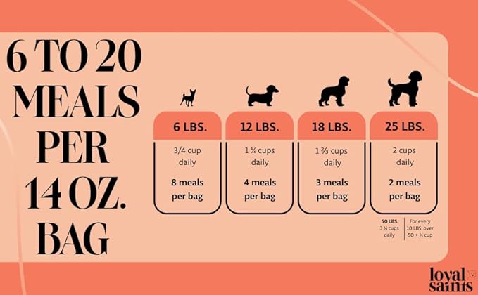 Freeze Dried Raw Dog Food - Premium Turkey and Salmon Flavor with High Protein and Grain Free Dog Food for All Breeds and Picky Eaters - Versatile as Meal Topper, Snack, and Treats, 14 Oz