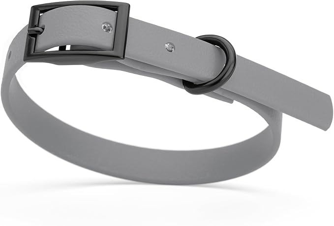 Dogline Biothane Waterproof Dog Collar Strong Coated Nylon Webbing with Black Hardware Odor- Proof for Easy Care Easy to Clean High Performance Fits Small Medium or Large Dogs, Battleship Gray