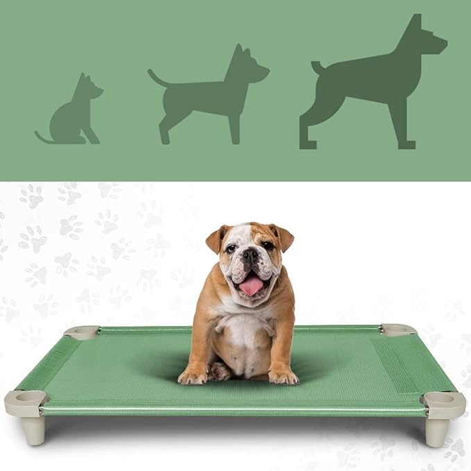 Acrimet Cooling Elevated Pet Dog Bed, Washable and Breathable Mesh Cot, Stainless Steel Frame, Indoor & Outdoor Use, fits Dogs up to 110 lbs (Size: 40” x 24”), Green, 1 Unit