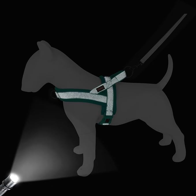 Didog No Pull Dog Harness with Breathable Mesh Padded, Full Reflective & Quick Fit Adjustable Vest Harness, Easy for Training Walking for Small & Medium and Large Dogs (Green, L:Chest 26-32")