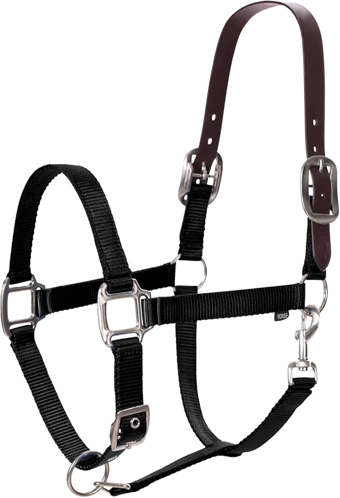 Equinavia Loki Adjustable Breakaway Horse Halter - Black - Cob