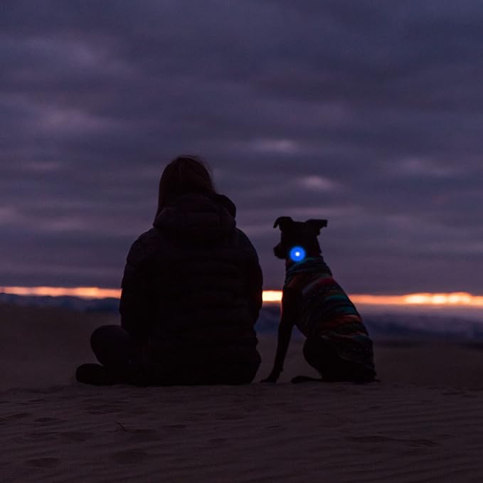 Airtag Holder for Dog Collar, Cibaabo Silicone Air Tag Case Cover Compatible with Apple Airtags for 0.8-1.2inch Cat Pet Collar Harness Loop