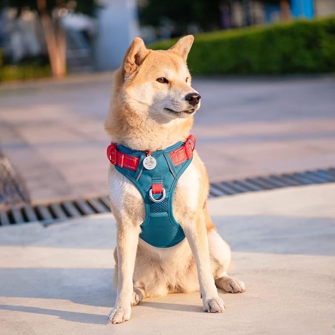 PHOEPET No Pull Dog Harness, Unique Colors Reflective Adjustable Dog Vest, with Soft Training Handle Metal Clips for Small Medium Large Dogs (Teal Base & Red Straps,S)