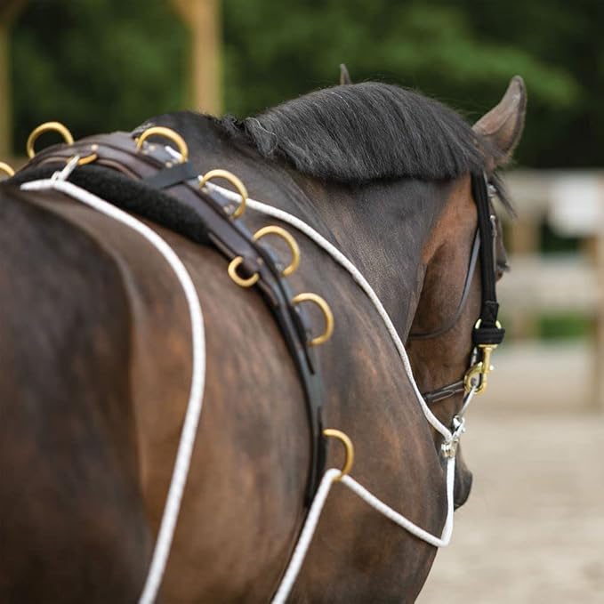 Advanced European Training System | Advanced Training Tool | Enhances Horse Carriage and Headset | Encourages Forward Movement | Strengthens Key Muscles | Not for Beginners