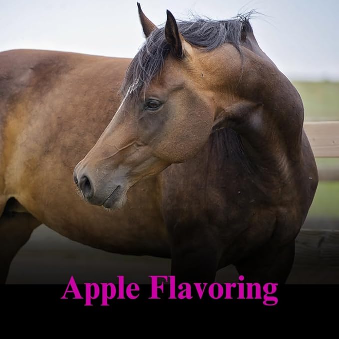 SU-PER Gain Weight for Horses - Equine Supplement Weight Gainer for Horses - Promotes Lean Muscle Mass, Digestion & Appetite - 25 Pound, 4 Month Supply