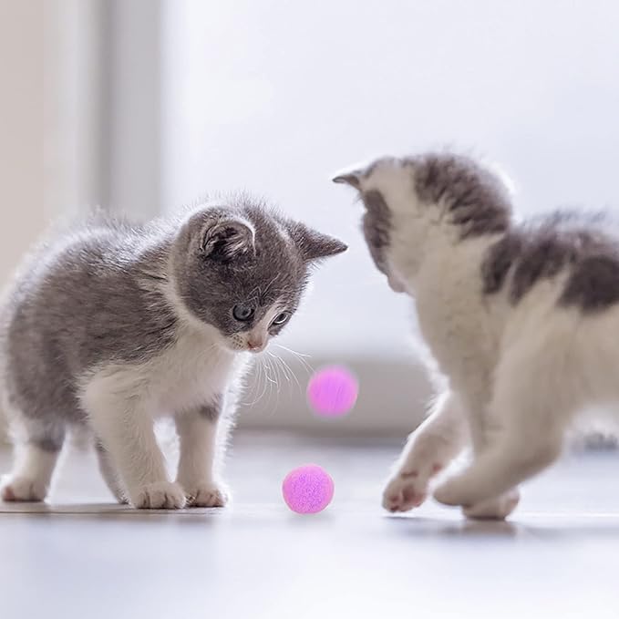 Molain Large Cat Toy Balls, Soft Cat Balls 1Inch Kitten Pom poms Ball Cat Play Toy (50 Pcs)