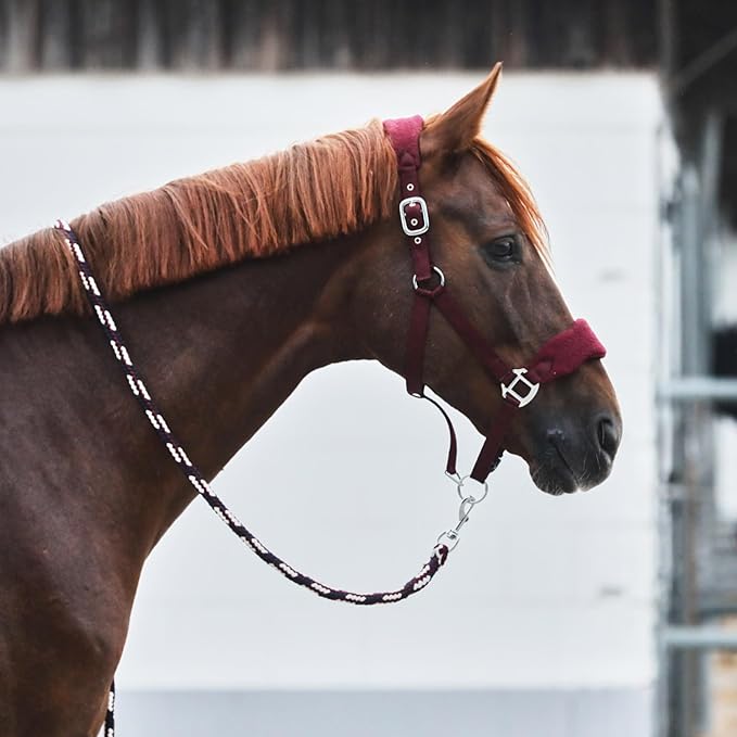 HORZE Kiel Adjustable Horse Halter with Fleece Padding - Dark Red - Cob
