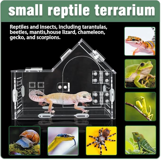 Acrylic Jumping Spider Enclosure - Versatile Reptile Enclosure with One-Click Magnetic Closure, Perfect for Tarantula, Gecko, Chameleon, Beetle, Mantis, and Hermit Crab