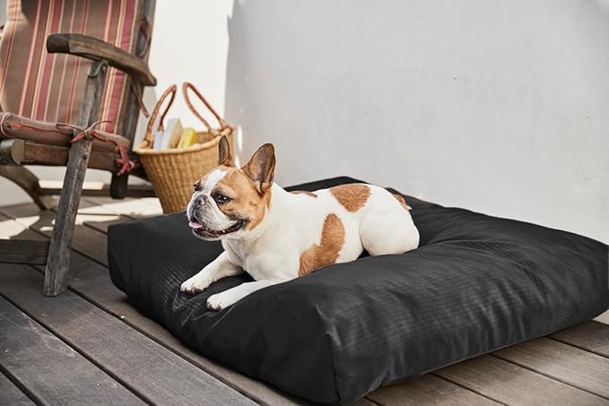 K9 Ballistics Tough Rectangle Pillow Dog Bed - Removable Cover, Washable, Durable & Water Resistant Bed for Big Dogs, Size: Large (40"x34"), Light Gray Velvet