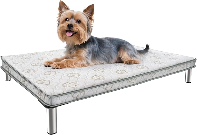 FXW TitanNest Chew-Proof Elevated Dog Bed, Raised Cot for Indoor/Outdoor/Camping Use, Durable & Washable Padded Pet Bed with Exclusive Reuseable Cover for Toy Dogs, 24.0" L x 20.0" W x 4.1" H, Gray