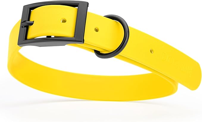 Dogline Biothane Waterproof Dog Collar Strong Coated Nylon Webbing with Black Hardware Odor- Proof for Easy Care Easy to Clean High Performance Fits Small Medium or Large Dogs, Lemon Yellow