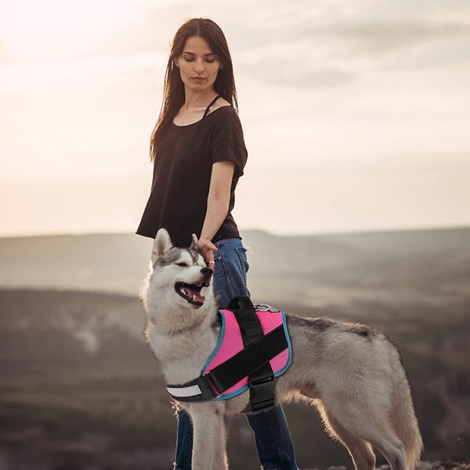 Bolux Dog Harness, No-Pull Reflective Dog Vest, Breathable Adjustable Pet Harness with Handle for Outdoor Walking - No More Pulling, Tugging or Choking Medium (Pack of 1) RoseTurquoise