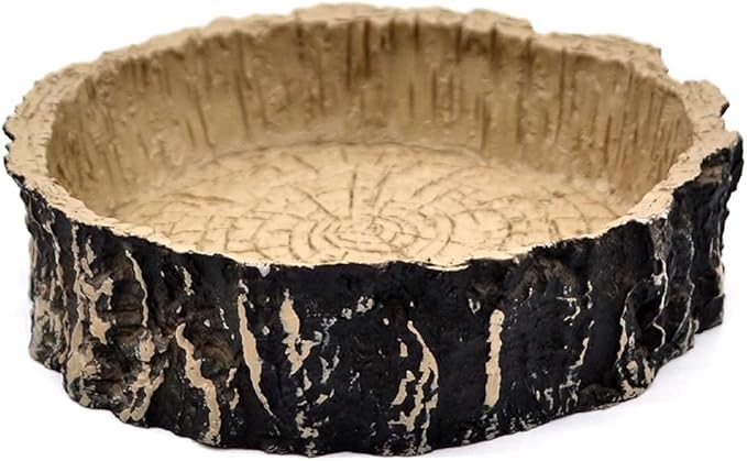 Boa Constrictor Habitat 10 Gallon Terrarium Kit