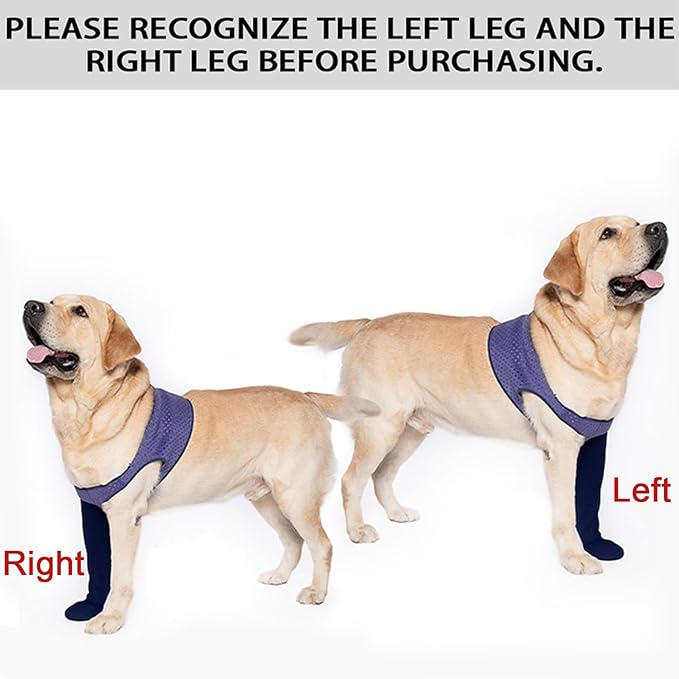 COODEO Dog Socks to Prevent Licking Paws, Healing Boots & Paw Protectors with Non-Slip Bottoms for Wound Protection, Waterproof Sleeve Shoes for Licking（Purple，3XL_Right