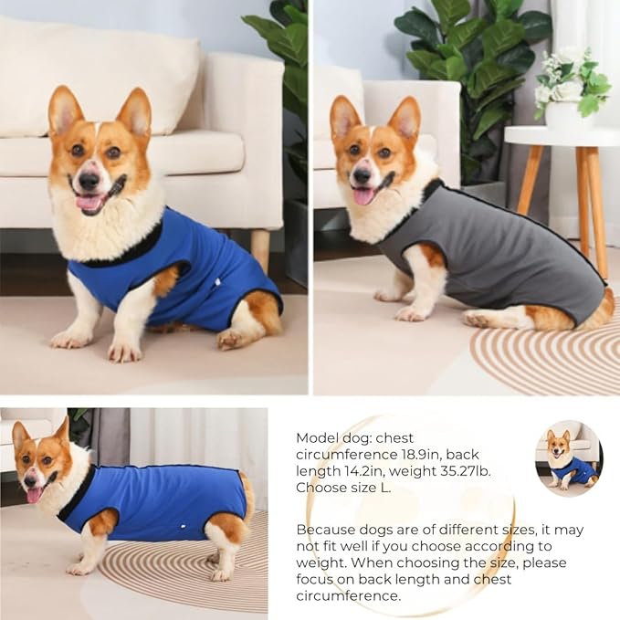 Dog Surgery Recovery Suit,Abdominal Surgical Suit for Dogs,Recovery Suit for Dogs,Prevent Licking Surgical Wound Dog Cone Alternative Grey S