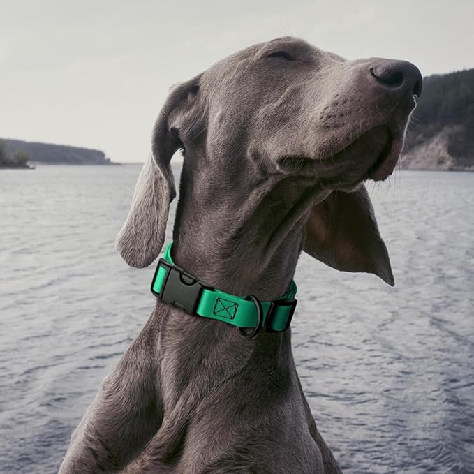 Dogline Biothane Waterproof Dog Collar with Quick Release Buckle Strong Coated Nylon Webbing with Odor- Proof for Easy Care Easy to Clean Fits Small Medium or Large Dogs, Teal 3/4" W 12-19" L