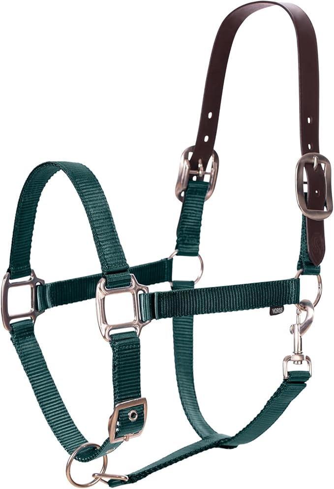 Equinavia Loki Adjustable Breakaway Horse Halter - Hunter Green - Horse