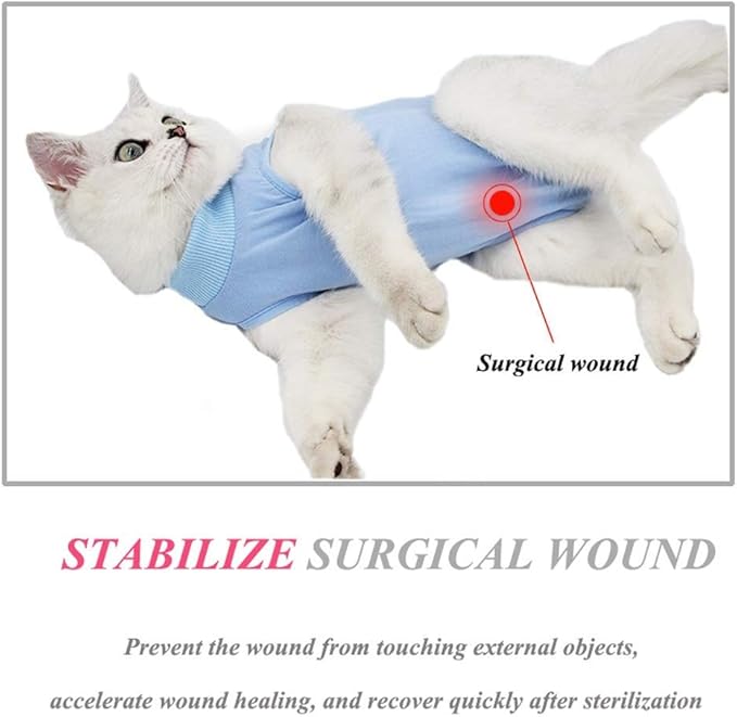 Cat Recovery Suit for Abdominal Wounds or Skin Diseases, Cat Onesie for Cats After Surgery Female Kitten Recovery Suit, Breathable E-Collar Alternative for Cats After Spay Anti Licking Wounds