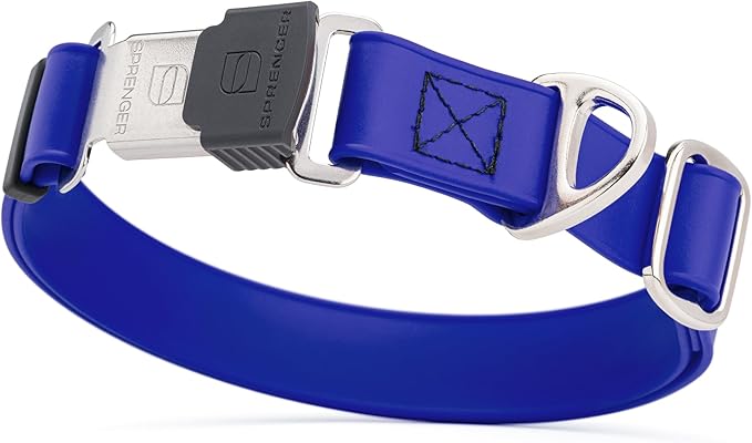 Dogline Biothane Waterproof Dog Collar with Herm Sprenger Stainless Steel Quick Release Buckle – Heavy Duty Tactical Durable Collar for Dogs – Comfortable and Safe Pet Collar W 3/4" L 12-19" Blueberry