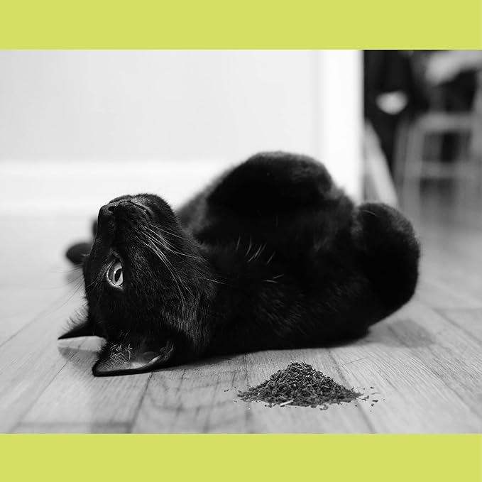 Catnip, All Natural Premium Catnip (4 oz Thick Cut)