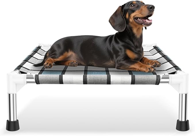 Elevated Outdoor Raised Dog Bed Outdoor Dogs Bed Lifted Pet Bed Dog Cot for Pet Taste Life, Start with A Pet Bed 20'' x 20'' x 6.5''