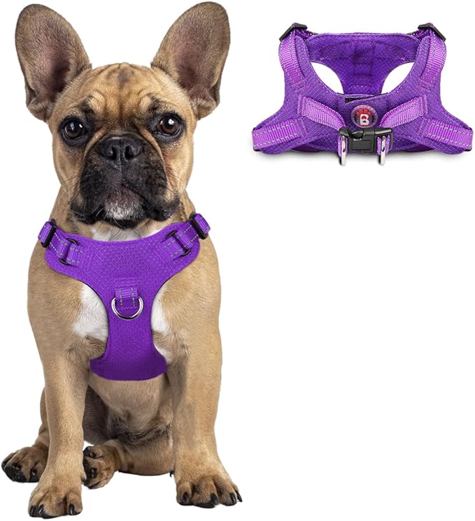 Dog Harness Step in Dog Vest Harness, Reflective Adjustable Puppy No Pull Harness Breathable Soft for Small and Medium Dogs Cats, Purple, S