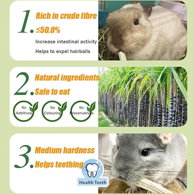 Guinea Pig Toys Apple Sticks, Tissimo Grass Sticks, Sweet Bamboo,Types of Combined Chew Toys,Pertain Chinchilla Squirrel Gerbil Hamster Squirrel Guinea Pigs