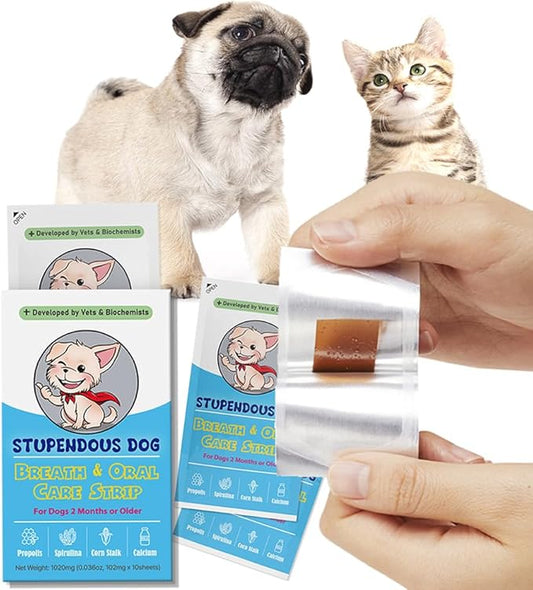 Breath Freshener Strip for Clean Teeth, Fresh Breath, & Healthy Mouth: Dog Water Additive for Dental Care - Pet Bad Breath Remedy - Cat Dental Mint Treats (10 Strips)