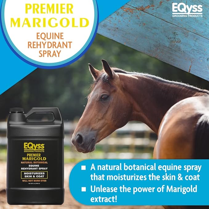 EQyss Premier Marigold Equine Coat Conditioning Spray - Moisturize Horse's Skin & Coat, Add Shine, Detangle, Repel Dirt & Dust, Silicone-free (128 oz)