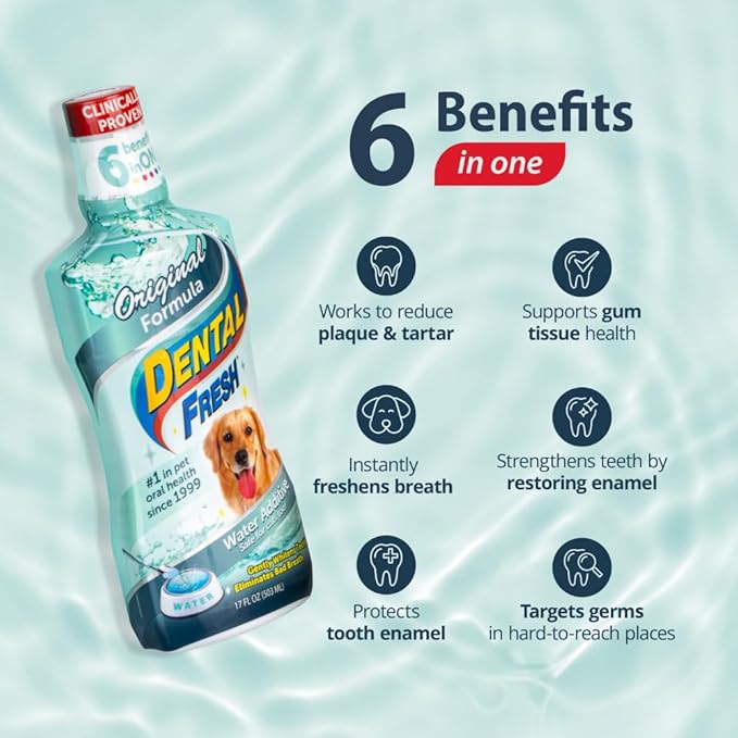 Dental Fresh Water Additive for Dogs, Original Formula, 17oz – Dog Breath Freshener and Teeth Cleaning for Dental Care– Add to Water