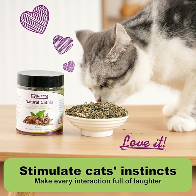 210ML Organic 100% Natural Catnip Cattle Grass Mint Taste Funny Cat Toy New Cat Toy Interactive Cat Toys Pet Supplies