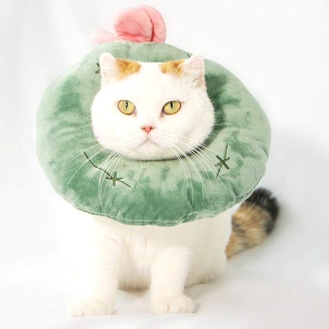 Adjustable Cat Recovery Collar Soft,Cute Pet E-Collar Neck Cone After Surgery Wound Healing Protective Cone Fit for Kitties, Small Dogs(ELC05-cactus-m)