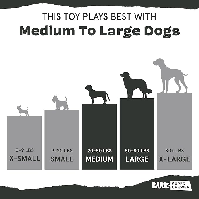 Barkbox Potato 2-in-1 Dog Toy - Tough Plush Squeaky Chew Toy for Large Dogs | Large