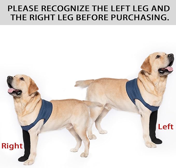 COODEO Dog Socks to Prevent Licking Paws, Healing Boots & Paw Protectors with Non-Slip Bottoms for Wound Protection, Waterproof Sleeve Shoes for Licking（Blue，L_Right