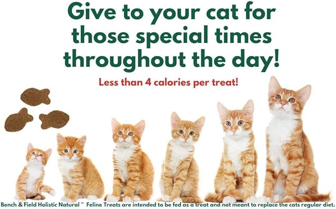 Bench & Field Holistic Natural Healthy Kitty Cat Treats | Crunchy Fish-Shaped Bites | Delicious Seafood Flavored Snack, 3-Ounce Bottle