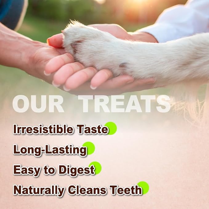 Afreschi Natural Turkey Tendon Bone (M) Pack of 2, Dog Treats for Signature Series, All Natural Human Grade Puppy Chew, USA-Sourced Turkey Tendon, Hypoallergenic, Rawhide Alternative