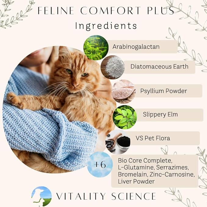 Feline Comfort Plus, Extra Drying Digestive Aid, GI Support Helps with Vomiting and Diarrhea, 100% Additive Free, 120g (Seafood, Small)