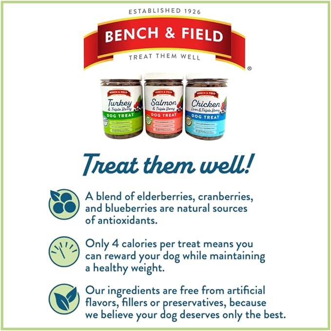 Bench & Field Holistic Natural Salmon & Triple Berry Dog Treats | Crunchy Bone-Shaped Bites | Antioxidant Blend, 10-Ounce Bottle