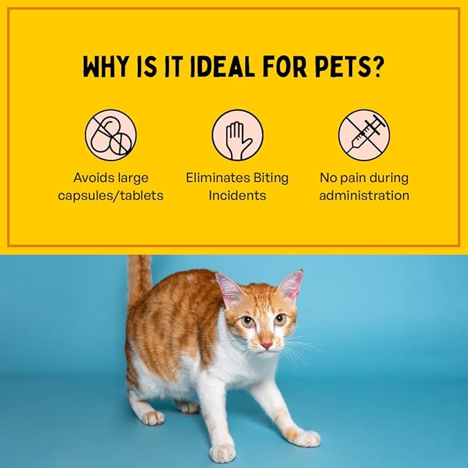 Fresh Breath Oral Strips for Dogs & Cats | Natural Spearmint & Thymol for Easy and Convenient, All-Natural Oral Care (30 Oral Dissolving Strips)